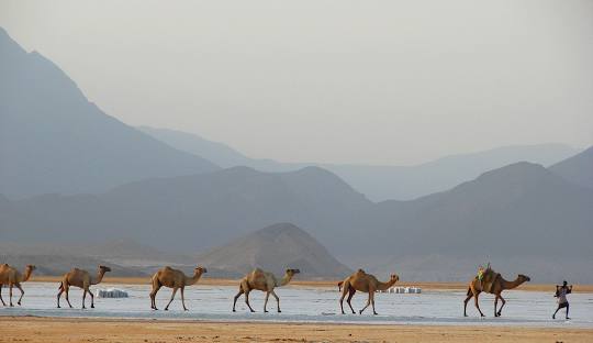 Djibouti